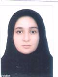 سلیمانی تینا