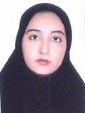 کرمی روژین