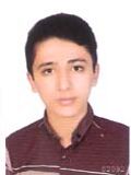 فاتحي کرجو پارسا