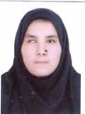 رستمی روژین