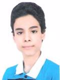 محمدی سهند