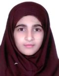 دهقانی فیروزآبادی سمیه