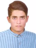 زرجوعی علی رضا