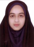 گل محمدی شورکی مائده