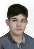 موسوی میرک هادی