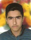 سیف الهی نیما