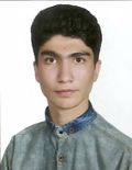 زارع امیرمحمد