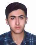 گلبرگ امیر عباس