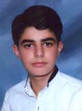 پارسا امیر حسین