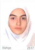 ایرجی کیمیا