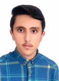 محمدپور سیدحسن