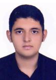 هاتفی اردکانی محمد