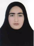 دربین نگین
