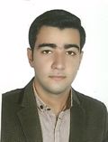فیضی قونسولکندی عرفان