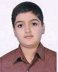 بیرانوند امیرمحمد