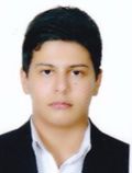 زارعیان محمدحسین