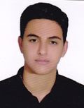 میربیگ سبزواری حسین