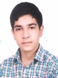 زارعی محمدامیر