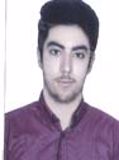 ارشدی محمد